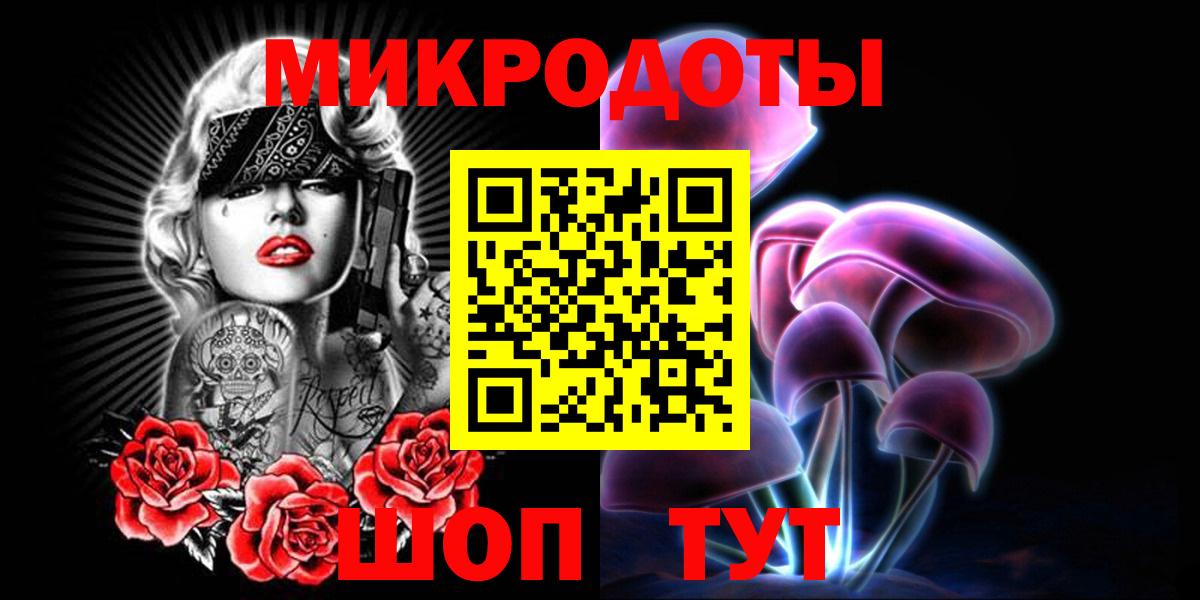 Сокол  Галлюциногенные грибы Cubensis  Вход с VPN 